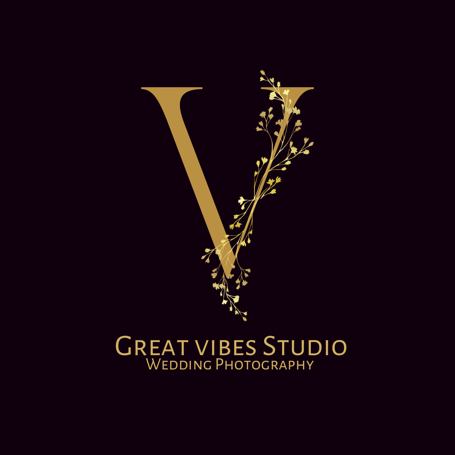 Great Vibes Studio